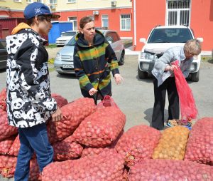 Две тонны семенного картофеля получили нуждающиеся жители Артема