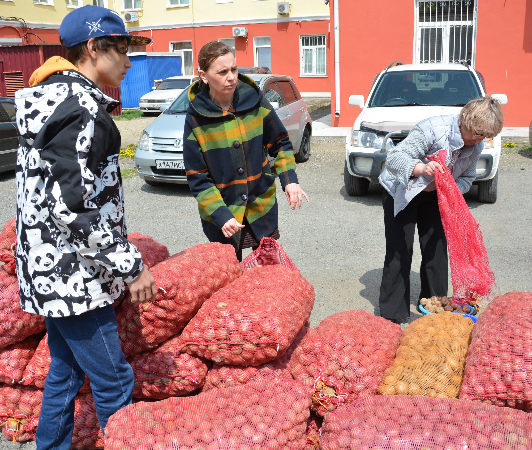 Две тонны семенного картофеля получили нуждающиеся жители Артема