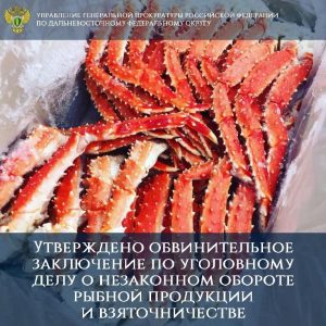 В Генеральной прокуратуре Российской Федерации утверждено обвинительное заключение по уголовному делу о незаконном обороте рыбной продукции и взяточничестве