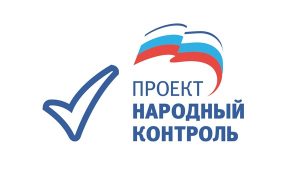 Депутаты от «Единой России» осваивают функции народных контролеров