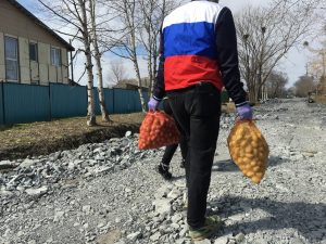Доставка семенного картофеля в рамках проекта «Российское село» начнется в середине мая 