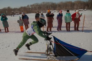 Ездовой вид спорта в Артёме представят во время фестиваля 13 февраля
