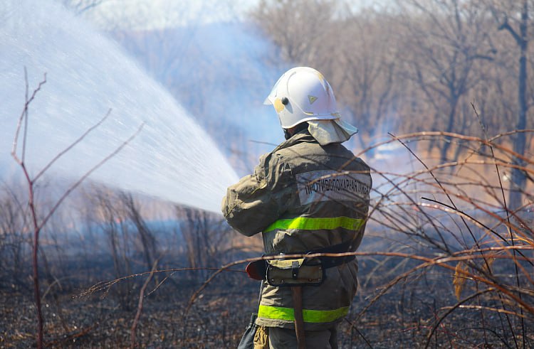 Осенью ежегодно увеличивается количество лесных пожаров.