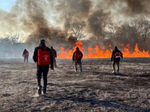 12 возгораний ликвидировано в Артёме за эту неделю