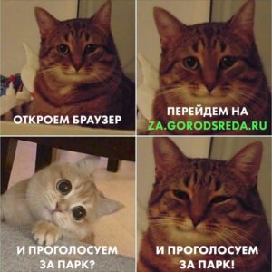 Активное благоустройство общественных пространств идет в Приморье
