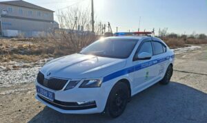 В Артеме Приморского края сотрудники Госавтоинспекции проводят профилактические мероприятия «Внимание: пешеход!»