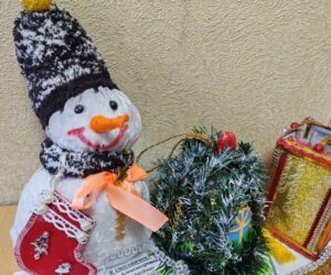 В Артеме Приморского края полицейские и представители Общественного совета подвели итоги конкурса новогодней игрушки