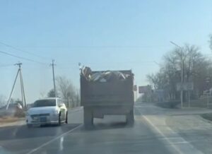 Полицейские привлекли к административной ответственности водителя грузовика, нарушившего Правила дорожного движения