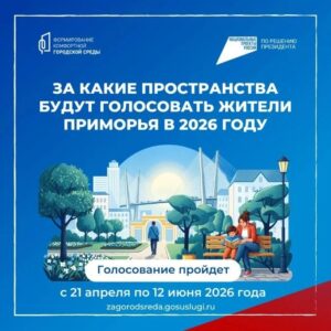 Приморцы выбирают будущее своих городов!